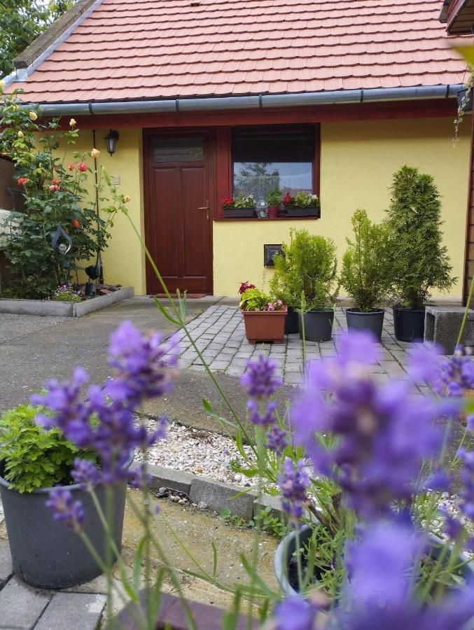 Kis Apartmanhaz บาลาตอนฟือเรด ภายนอก รูปภาพ